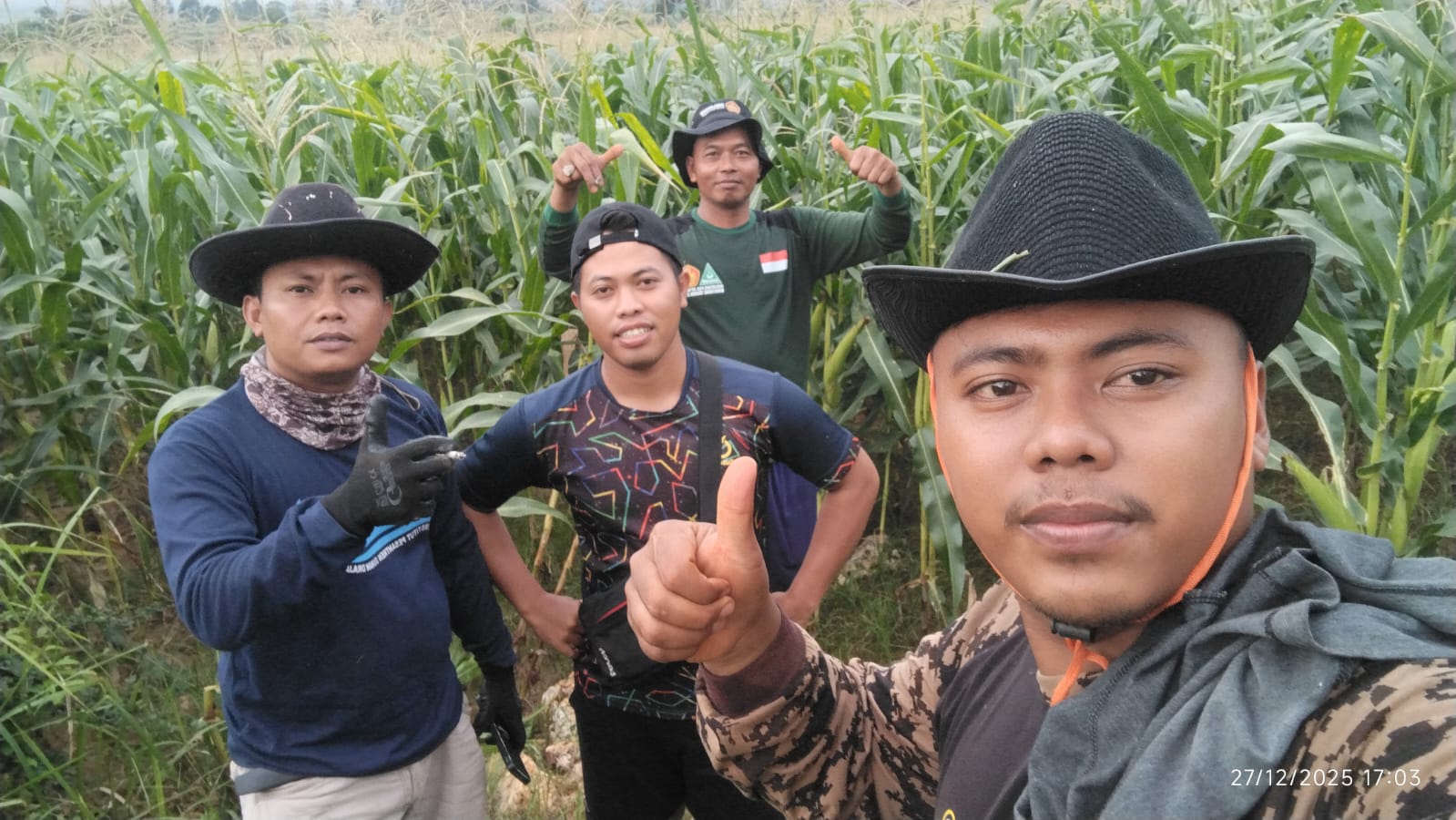 Optimalkan Hasil Panen, Bidang Pertanian BUMA PAC GP Ansor Montong Lakukan Pemupukan Tahap Ketiga