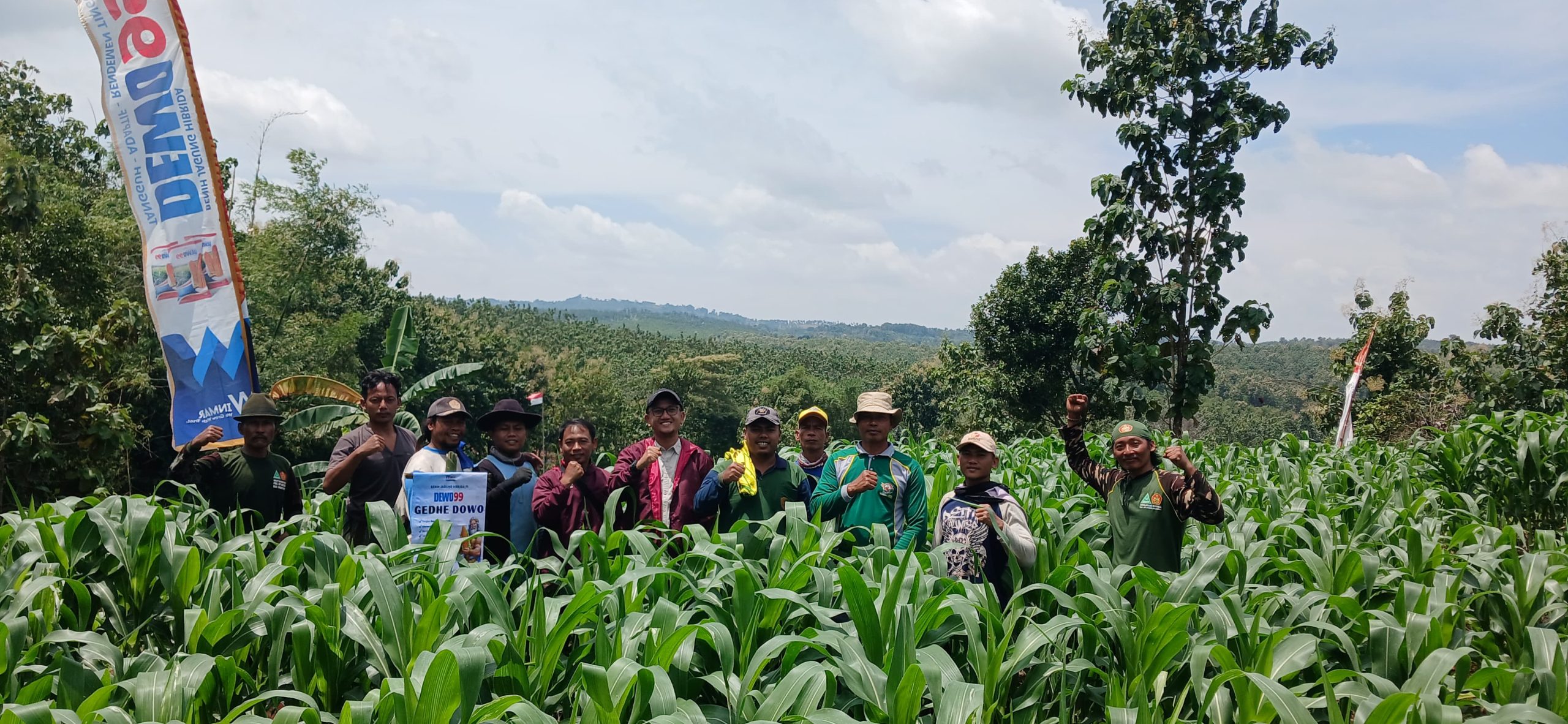 Lahan Jagung Ansor Montong Dilirik Jadi Prototype Sekolah Lapang, Direktur PT WINMAR Turun Langsung ke Lapangan