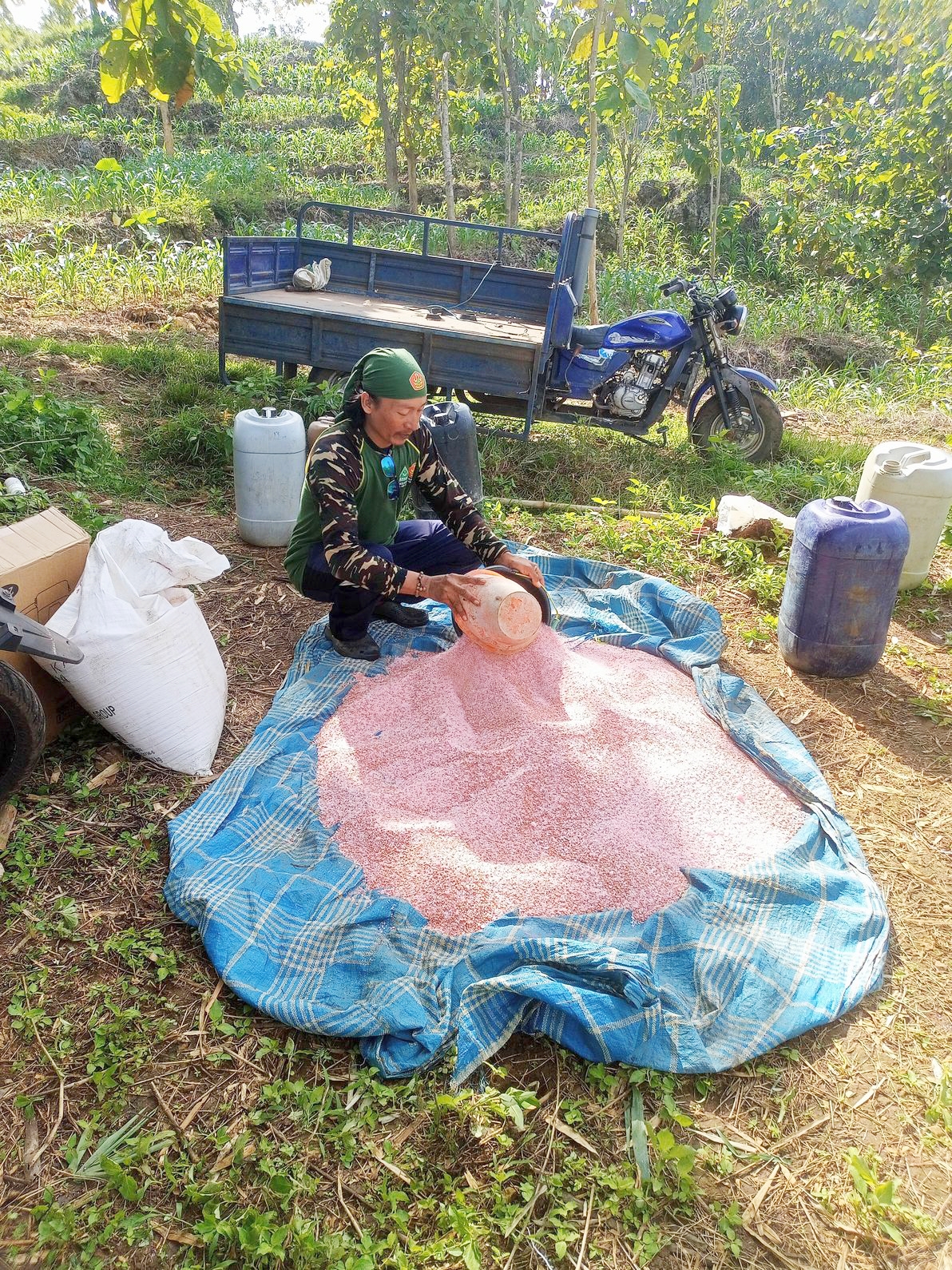 PAC GP Ansor Montong Lakukan Perawatan Intensif Lahan Jagung Bersama FMC